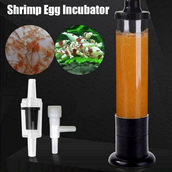 Lồng ấp trứng atemia cho bể cá thiết kế hiện đại, sử dụng dễ dàng tiện lợi