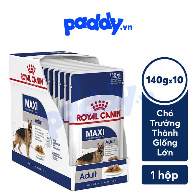 Pate cho chó trưởng thành size lớn royal canin maxi adult 140g
