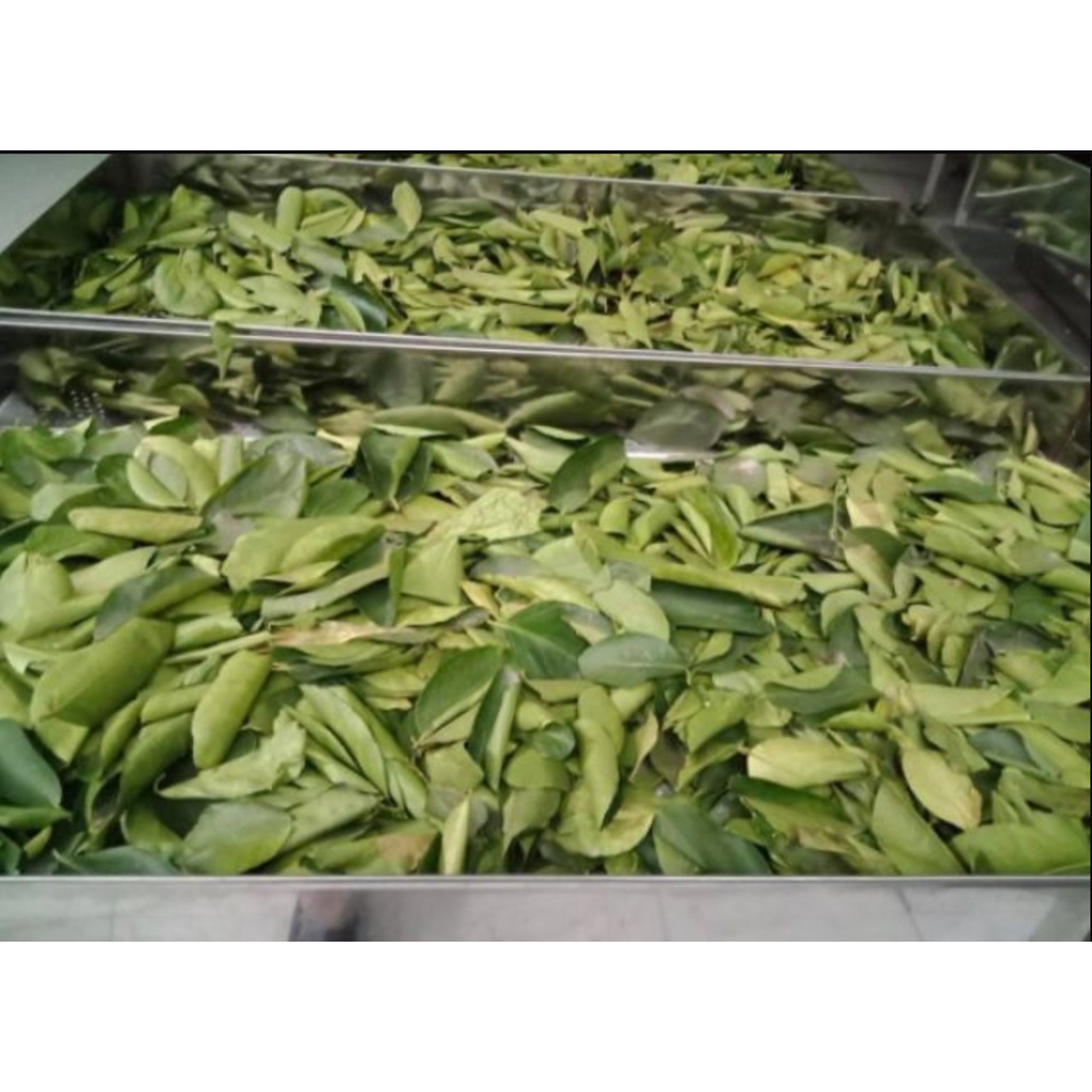 Lime leaves - lá chanh spicesupply việt nam sấy lạnh làm khô gà và các món á hũ 20g