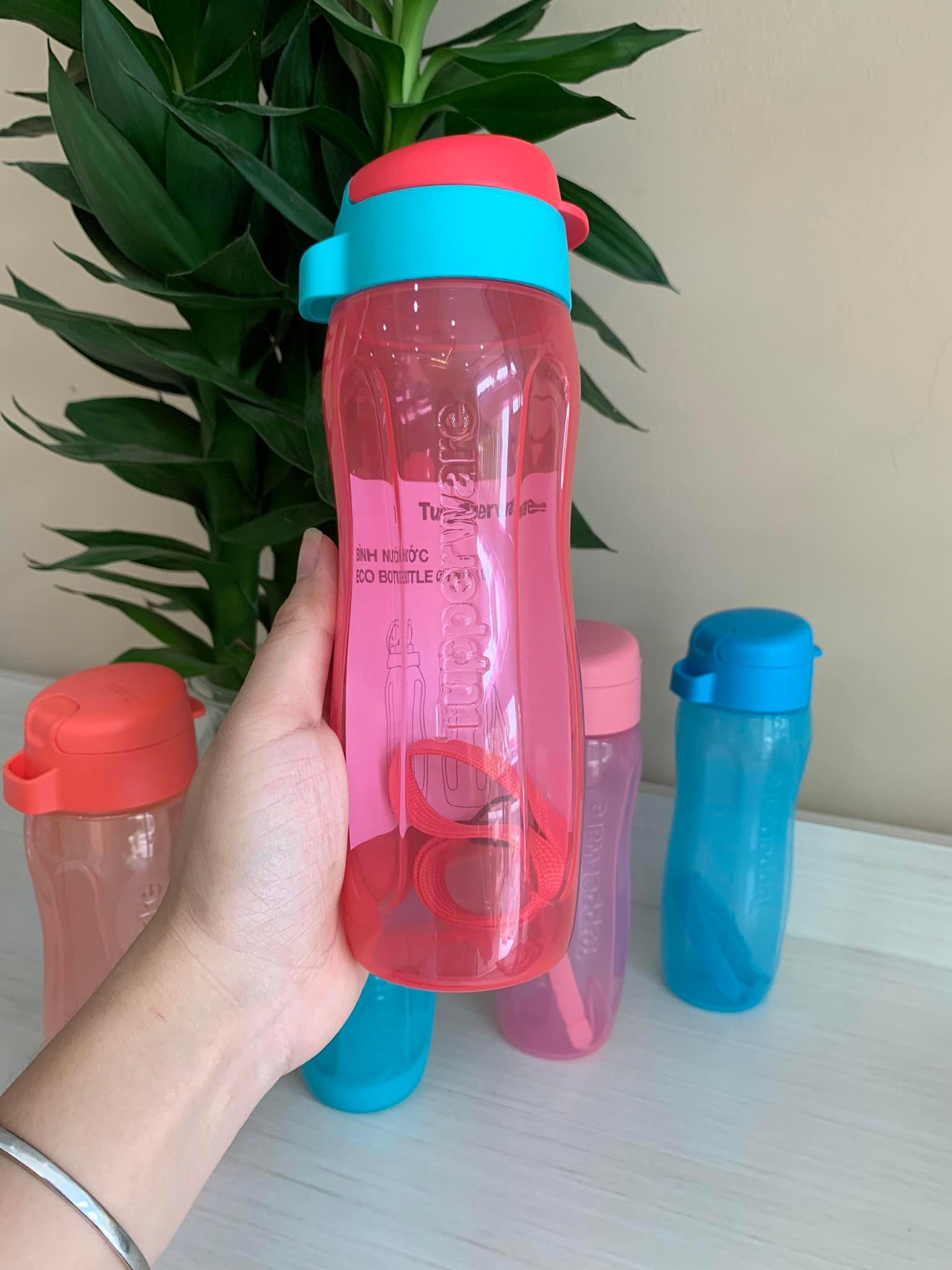 Bình eco bottle gen ii 500 ml tupperware