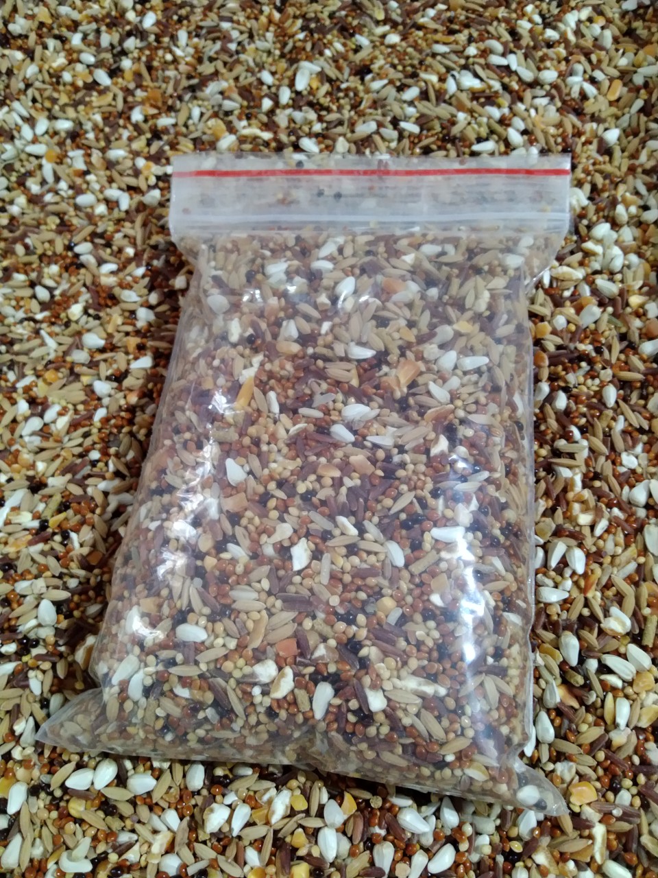 NGŨ CỐC ĐẶC BIỆT DÀNH CHO CU GÁY (NHIỀU CHẤT DINH DƯỠNG)