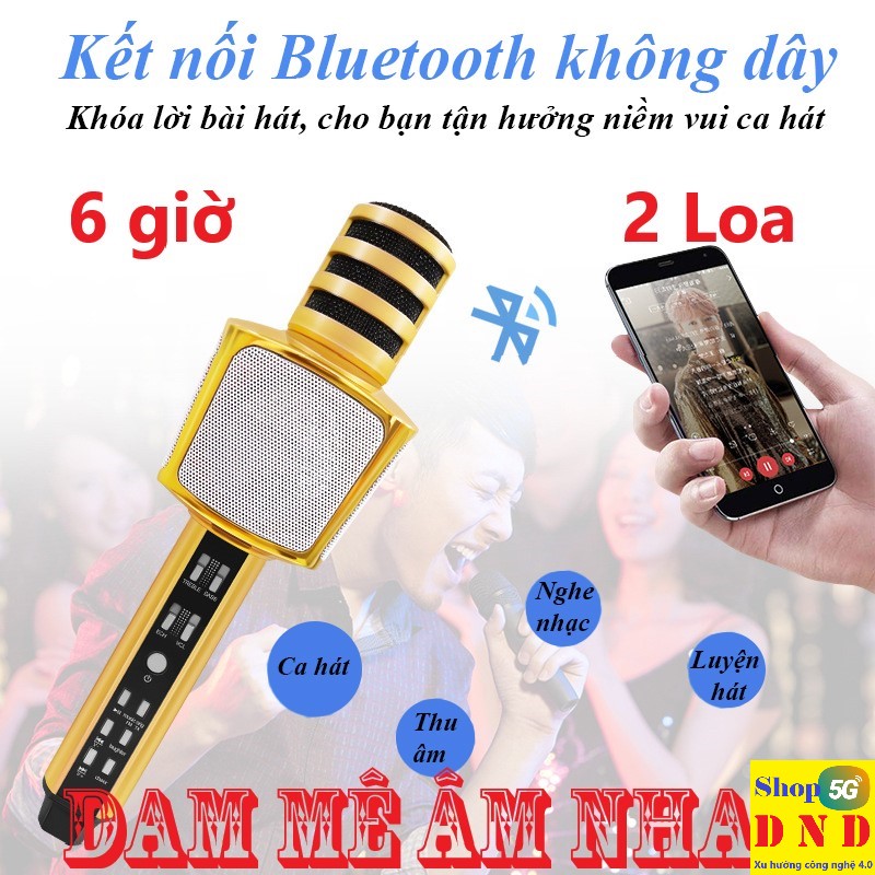 Micro karaoke bluetooth chính hãng SD17 của SDRD