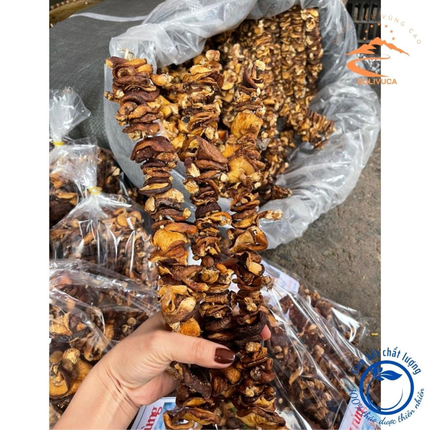 Nấm hương rừng Tây Bắc, nấm đông cô, nấm hương rừng xiên que phơi khô tự nhiên.
