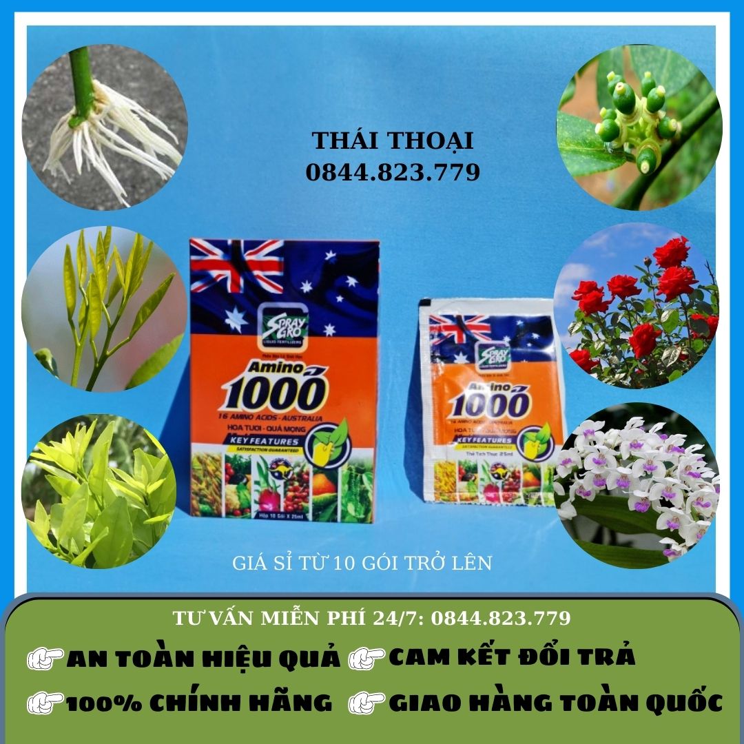 Phân bón lá nhập khẩu australia - amino 1000 – giúp hoa tươi quả mọng – gói 25ml