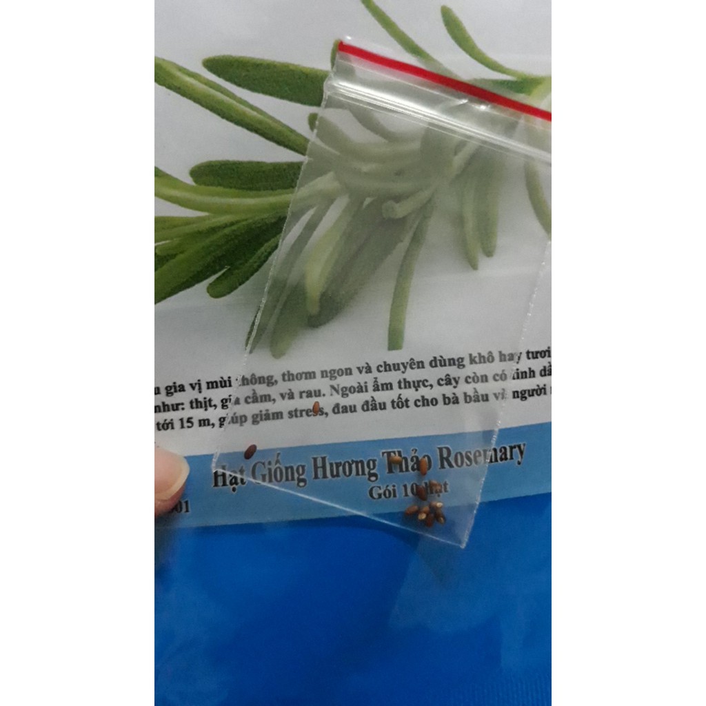 48A Hạt Giống Hương Thảo - Hạt Có Mùi Thơm Đặc Trưng Phân Biệt Với Hàng Giả Gói 20 Hạt