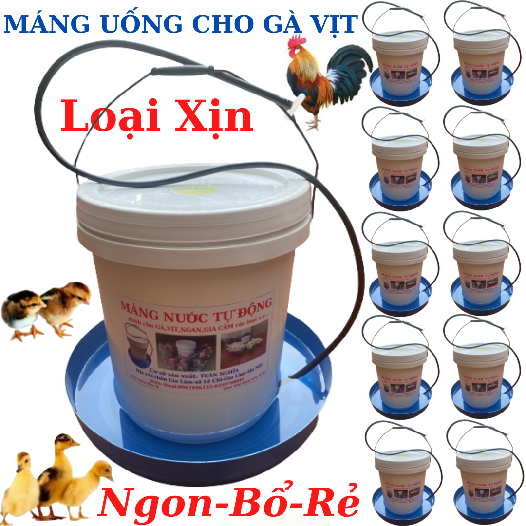 Máng uống nước tự động cho gà vịt ngan loại bền,hiệu quả nhất.
