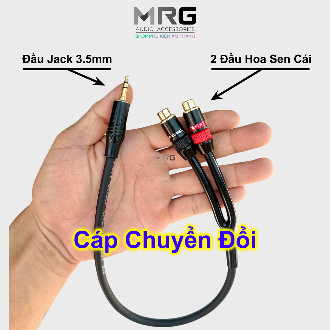 Dây 3.5 ra 2 đầu AV HOA SEN cái, dài 30cm, cáp chuyển đổi cáp nối đầu jack 3.5 đực sang 2 đầu RCA Hoa Sen Cái. CCD