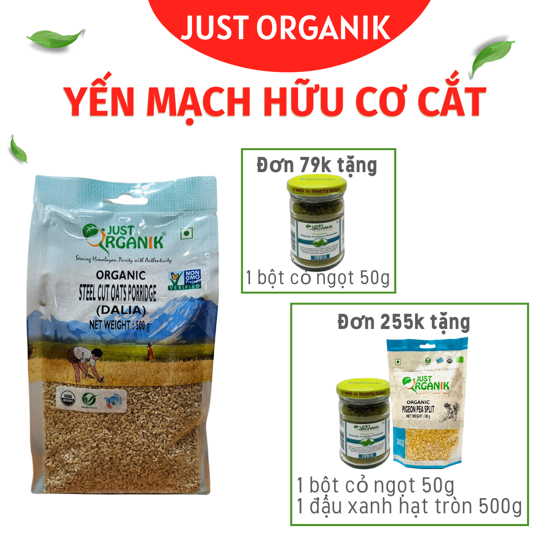 Yến mạch hữu cơ cắt nhỏ nấu cháo cho bé Ăn Dặm Làm Bánh Just Organik 500g