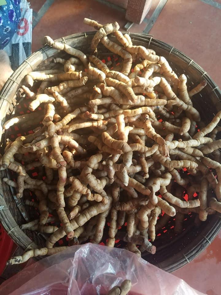 Ba kích tím tươi 1kg