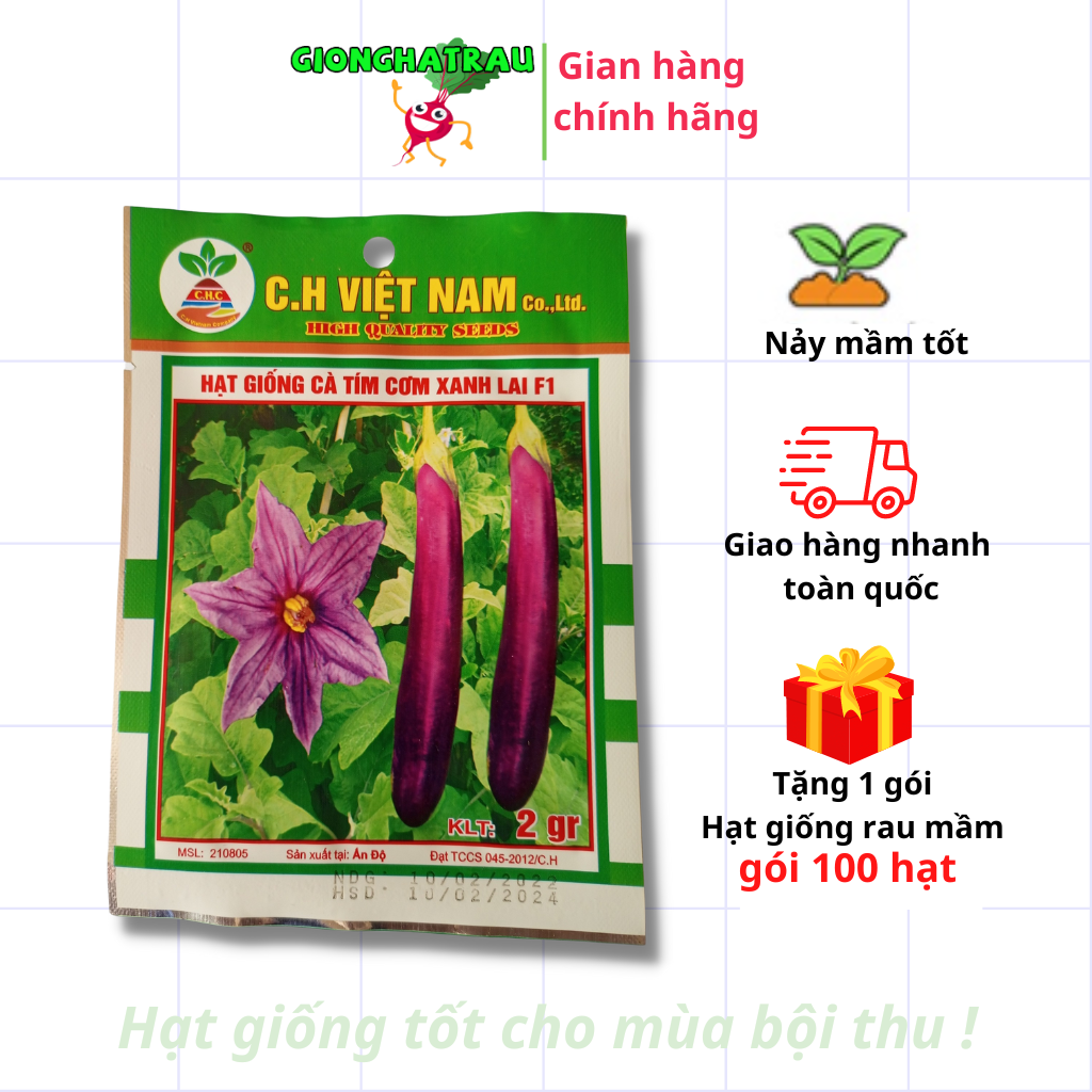 Hạt giống cà tím hạt giống rau củ quả GIONGHATRAU sinh trưởng khỏe gói 2gr
