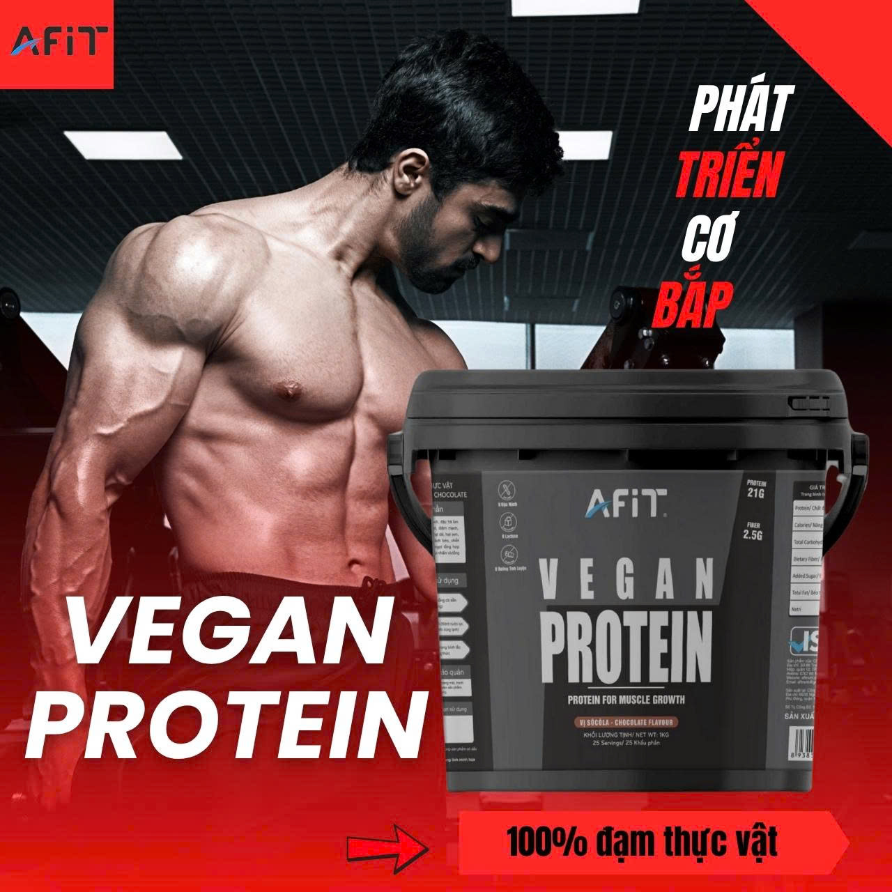 Sữa Giảm Mỡ Tăng Cơ Whey Protein Vegan Thực Vật Thuần Chay AFIT - Hàng chính hãng