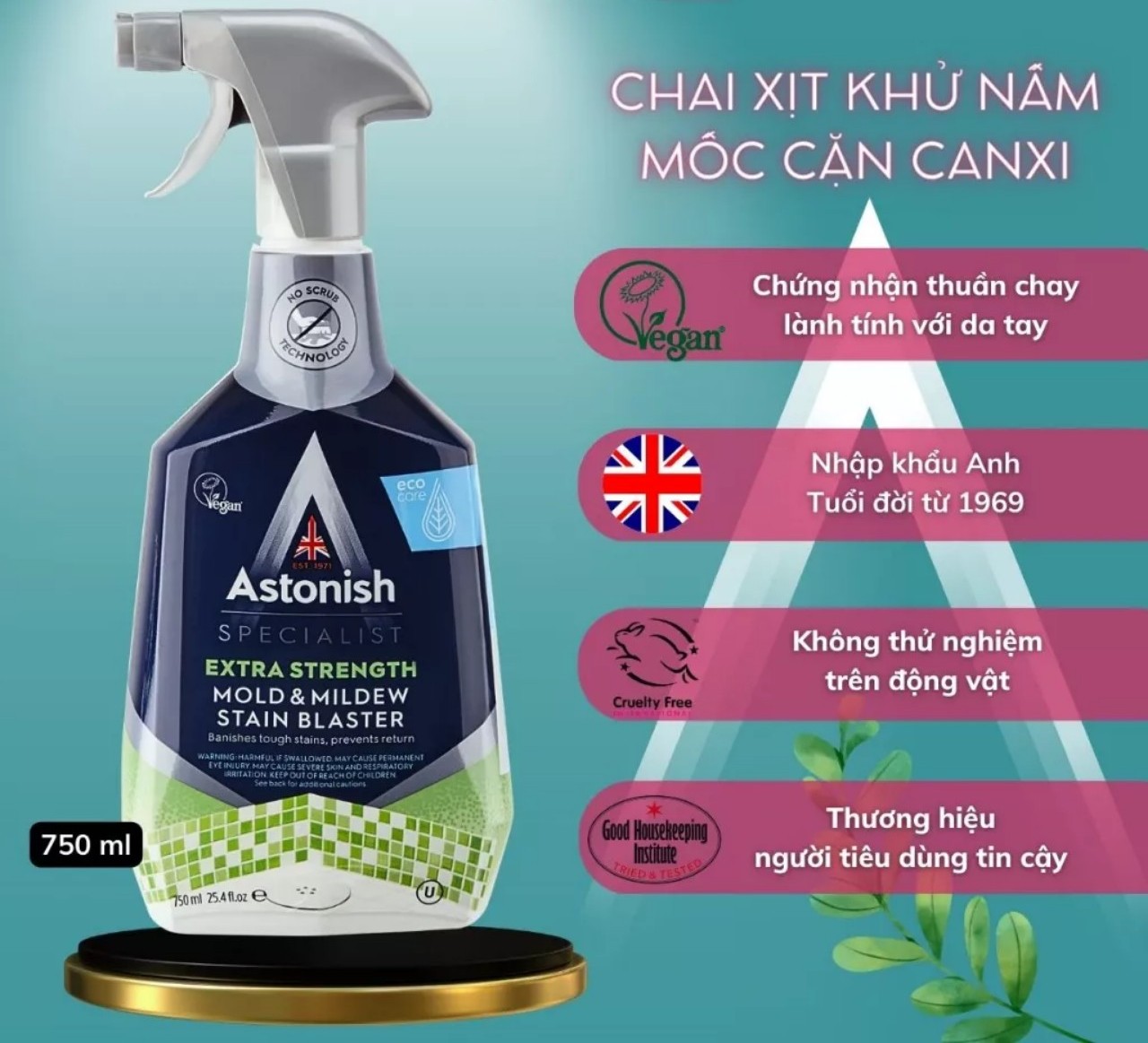 Bình xịt tẩy nấm mốc nhà tắm astonish 750ml c1120