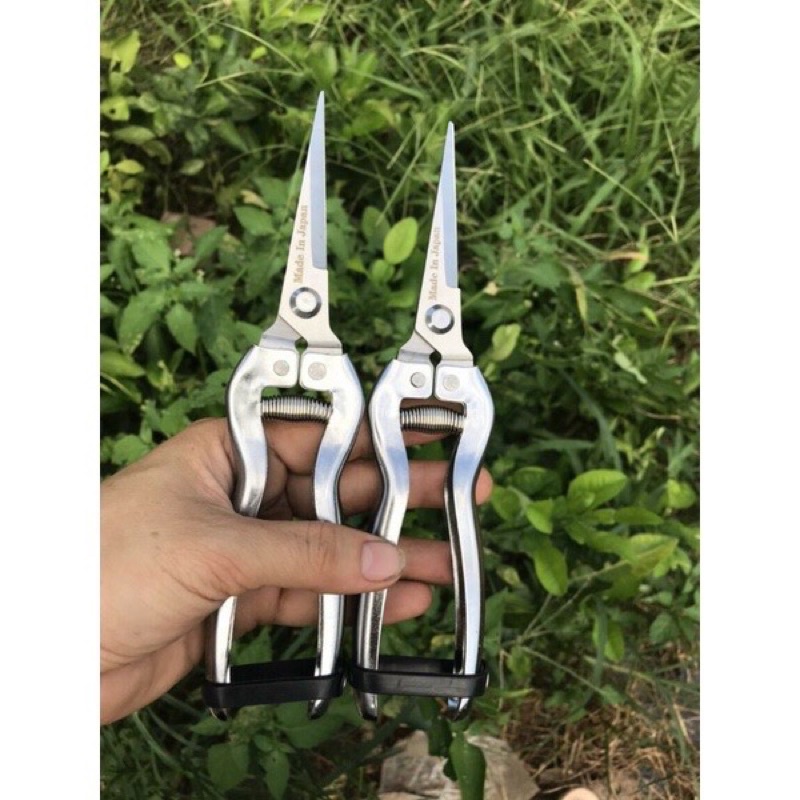 Kéo tỉa trắng - kéo tỉa dăm , tỉa nhánh cây