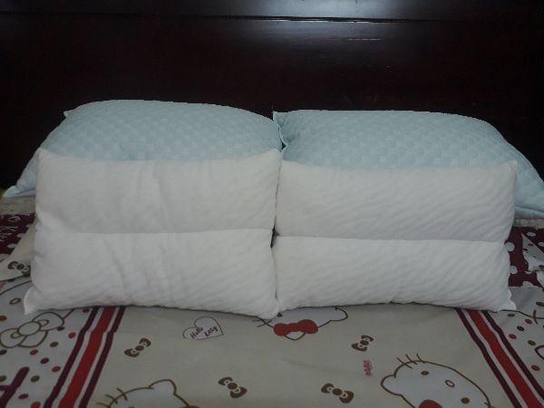 Gối cao su xay liên á 35x50