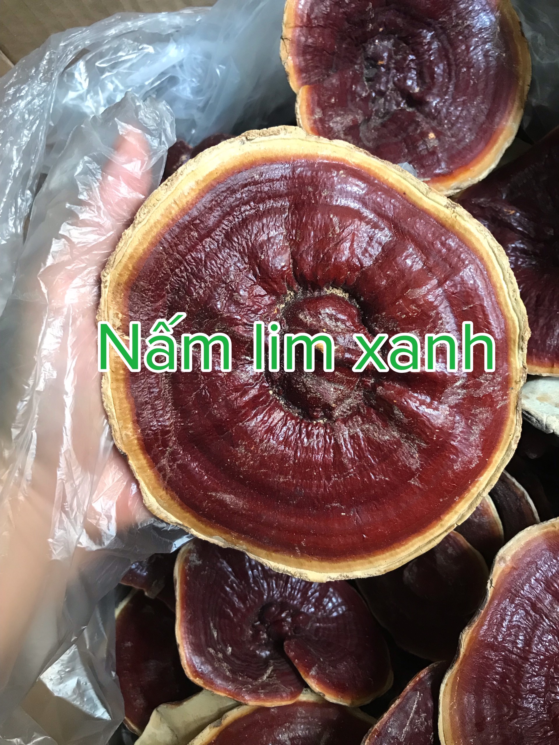 Nấm lim xanh khô túi 300g Việt Nguyên