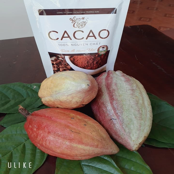 Bột Cacao nguyên chất 500gr Nam Trường Sơn (ĐẶC SẢN BUÔN MA THUỘT)