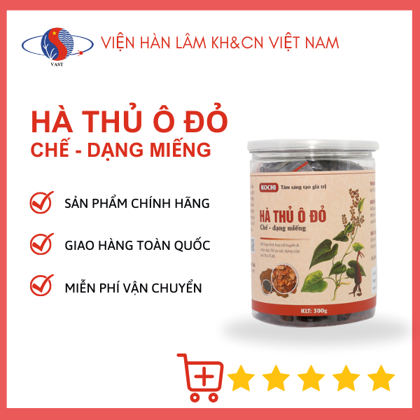 Hà thủ ô đỏ kochi chế dạng miếng hộp 300g