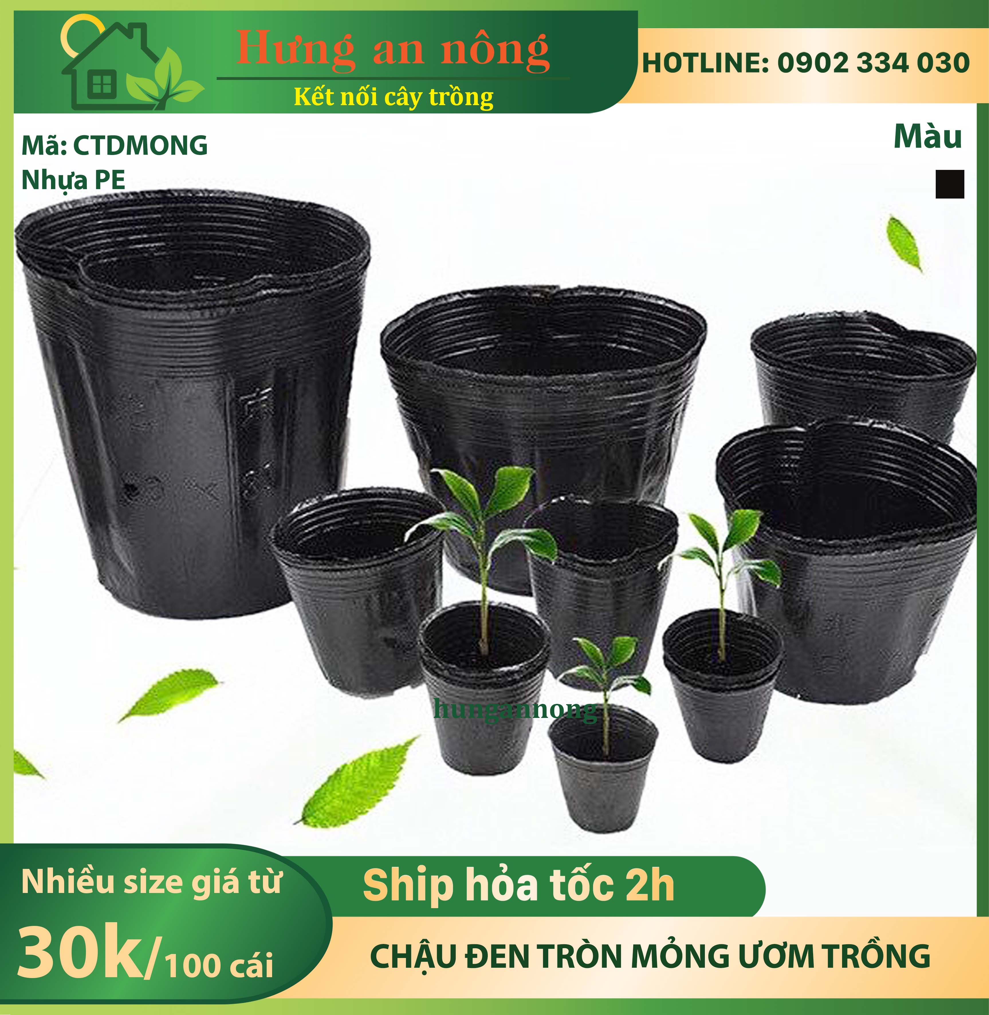 CTDMONG - Sét 50 Chậu ươm trồng cây tiện dụng tiết kiệm chi phí, nhựa PE dai mỏng