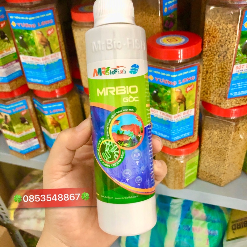 Mrbio-fish men vi sinh gốc xử lý nước bể cá