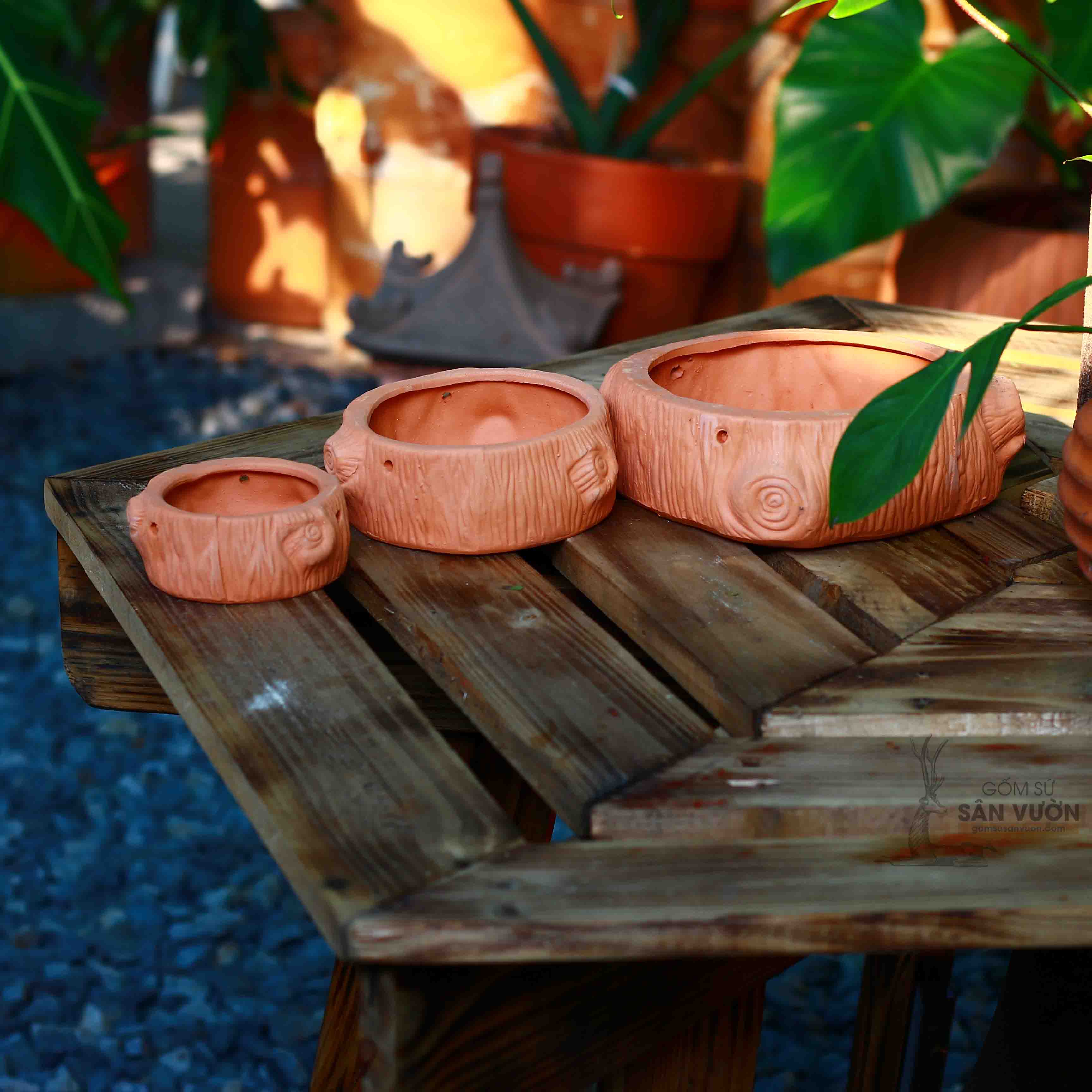 Bộ 3 Gốc Cây _ Chậu đất nung trồng sen đá size 19cm _ Gốm Sứ Sân Vườn