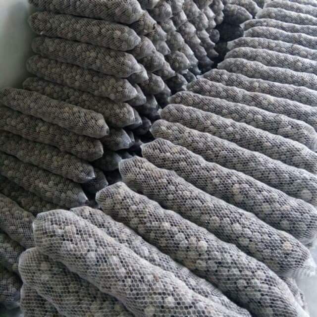 30 túi đựng phân dê dài 10cm