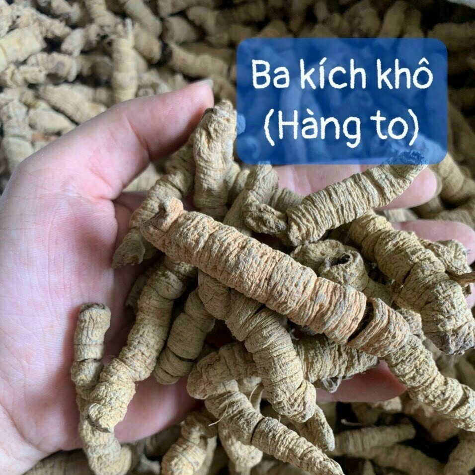 01 Kg ba kích tím khô ĐẠI rút lõi Quảng Ninh