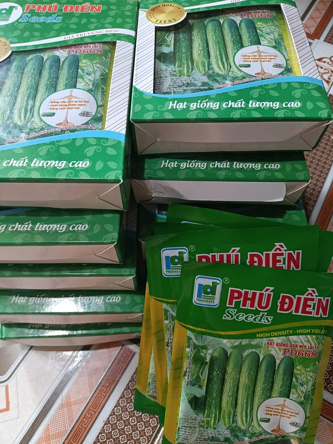Hạt giống dưa chuột chịu nhiệt Venus 18