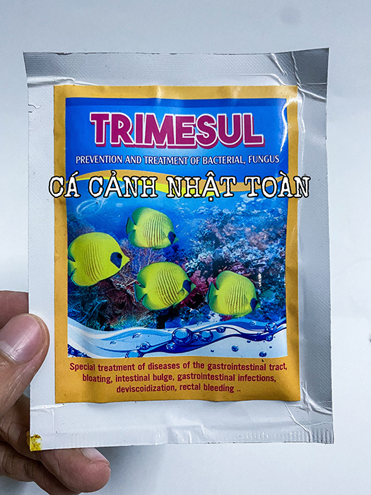 "hoàn tiền đến 10%" trimesul dưỡng cá giúp kháng khuẩn nấm cho cá 10g an lộc phát