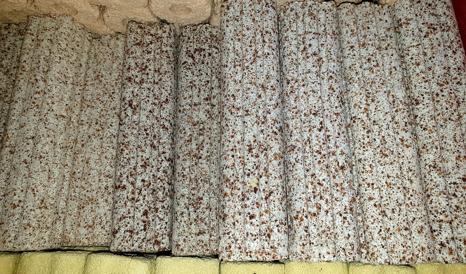 Sứ Thanh Lọc Muối Tiêu Cây Lớn (15x4cm) Loại Tốt - Vật Liệu Lọc Nước Hồ Cá - Bể Cá Thanh Sứ