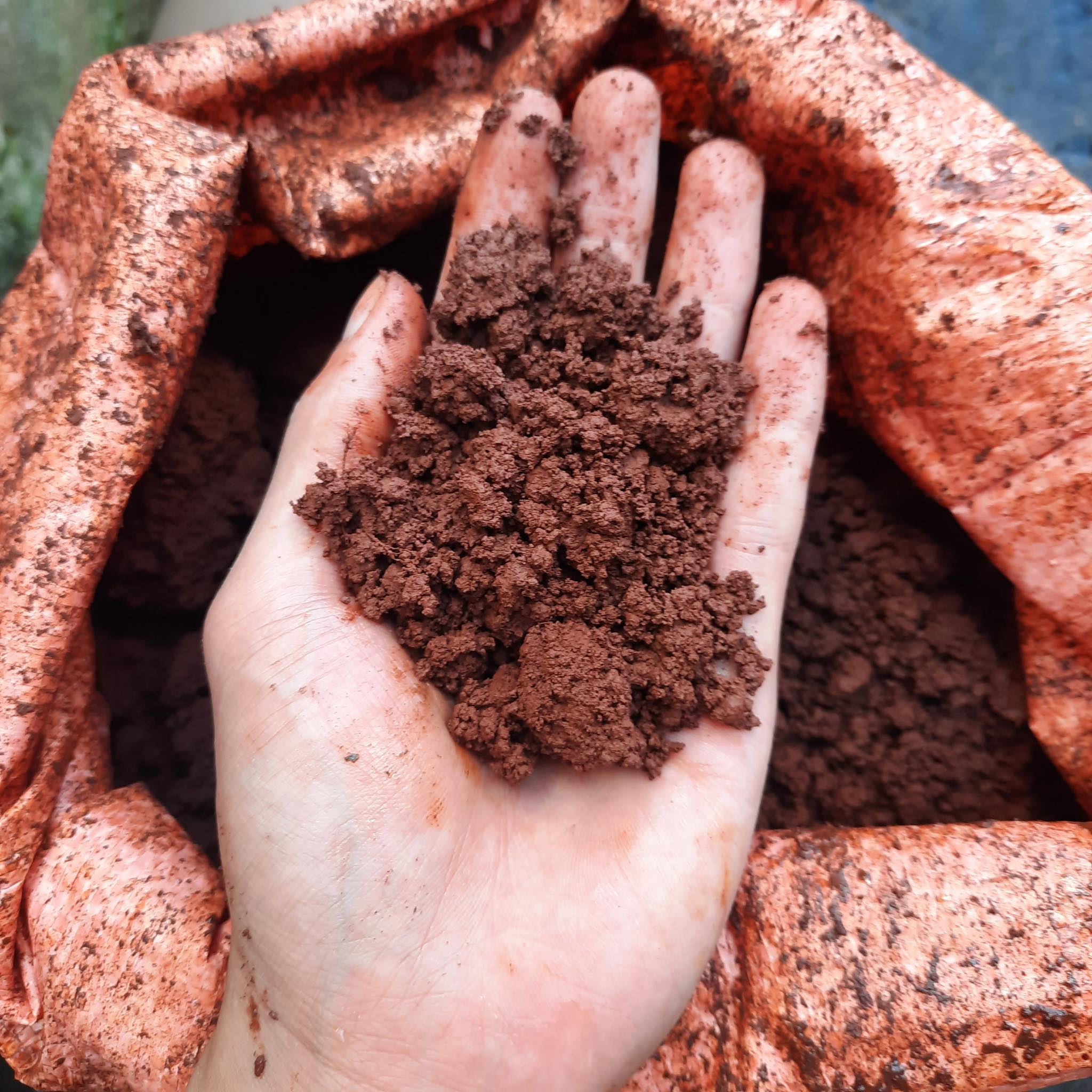 [Đặc biệt] Đất thịt (đất màu/đất nguyên chất) trồng cây ăn trái giúp cây chắc khỏe bộ rễ