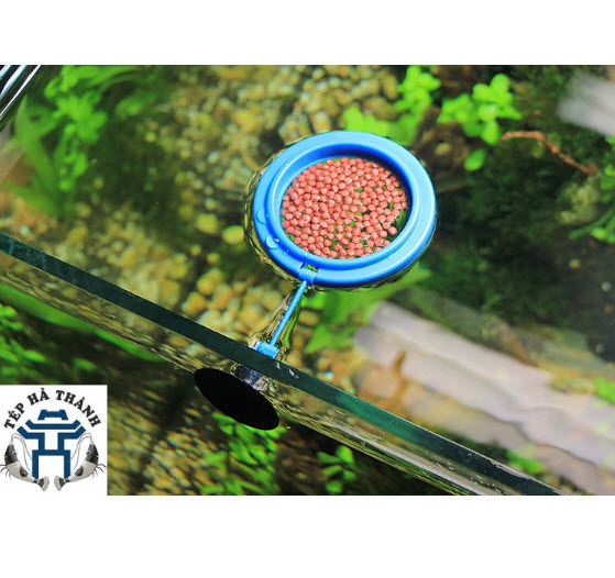 [Hoàn Tiền 10%] Vòng Cho Cá Ăn Hình Tròn