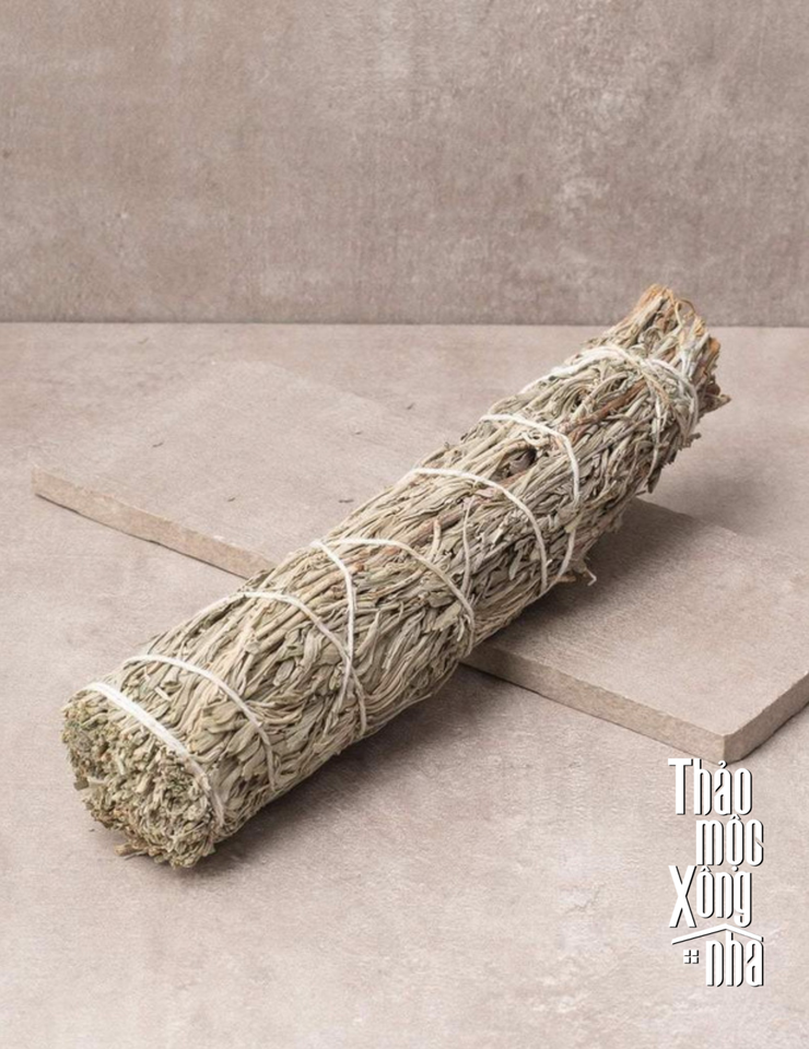 Mountain Sage - Xô thơm núi -  THẢO MỘC XÔNG NHÀ