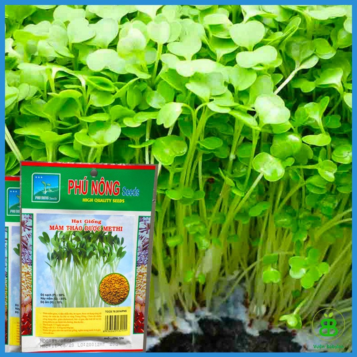 Hạt giống rau mầm thảo dược methi dể trồng -gói 20 gram