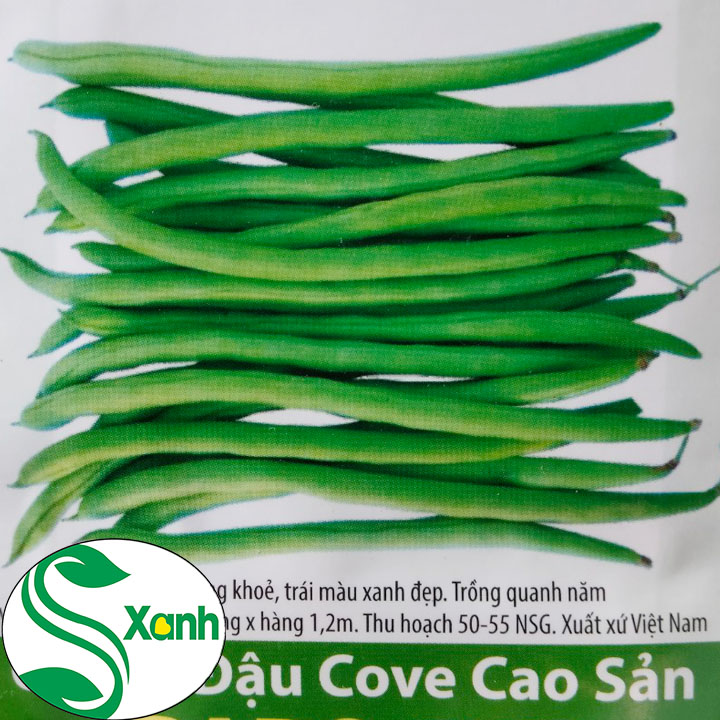 Hạt giống đậu cove cao sản -gói 20g