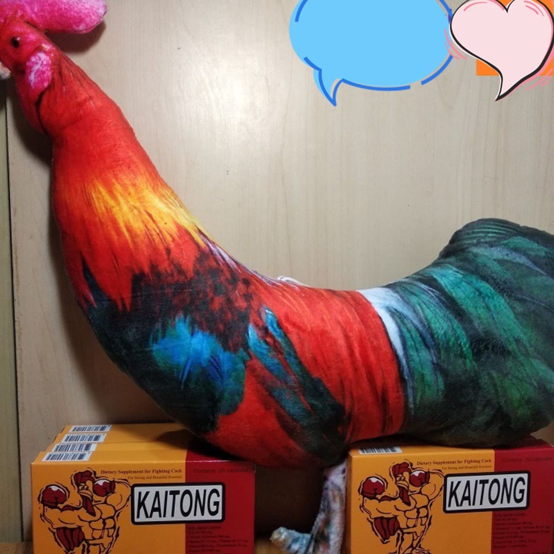 Thú bông 3D cao cấp