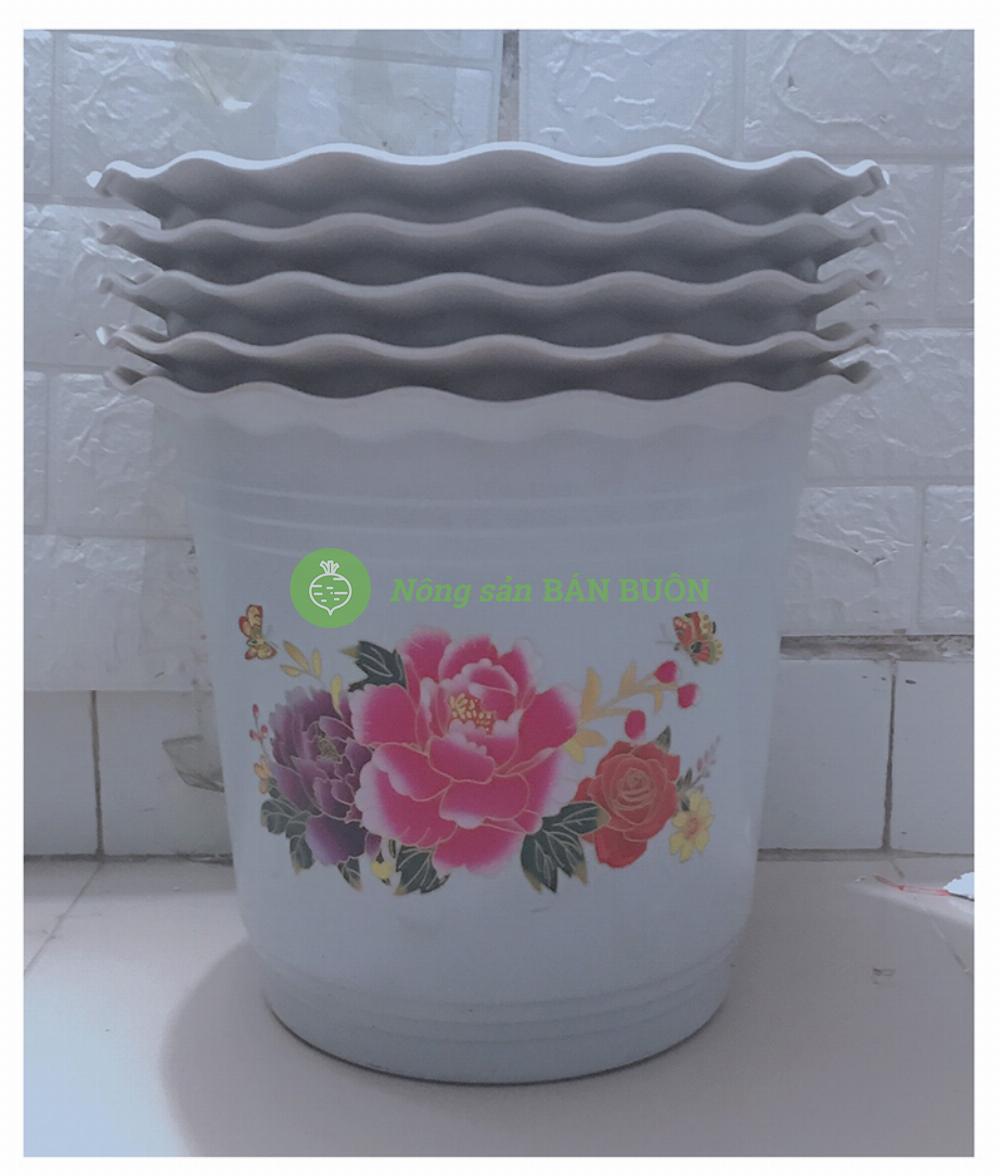 5 chậu nhựa trồng hoa, cây cảnh hình tròn bb 320x270 cn