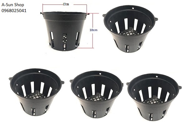 Combo 10 Chậu Nhựa Trồng Lan Phi 12