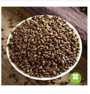 Thảo quyết minh 100gram loại thượng hạng - LV130