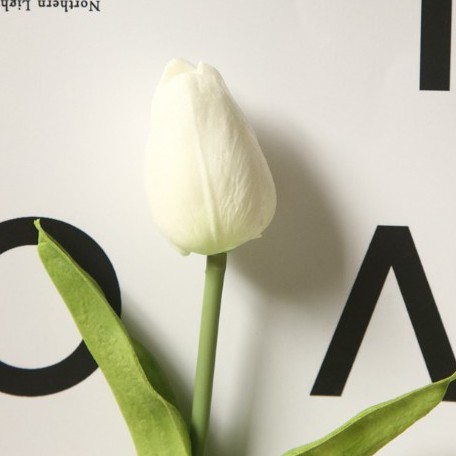 Tulip Lỗi Thanh Lý - Hoa Giả - Tulip Giả Thanh Lý Trang Trí Nhà Cửa Liz Flower