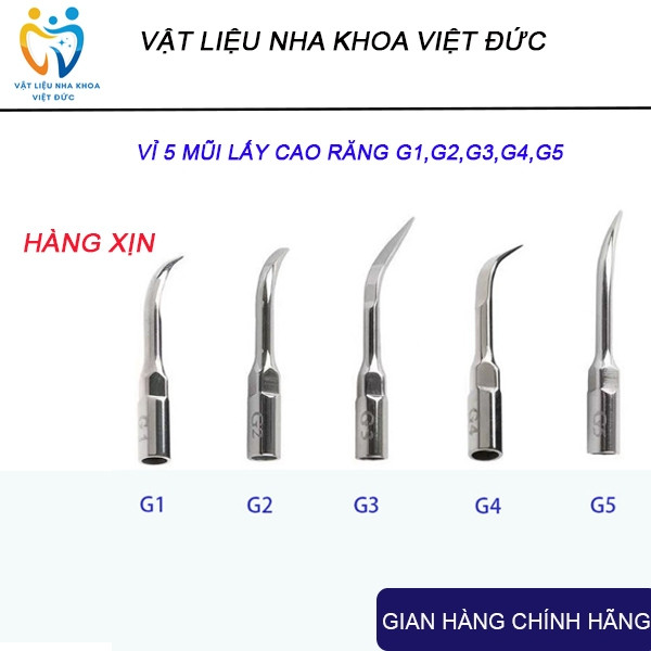 Mũi lấy cao răng, Vỉ 5 Mũi cạo vôi G1,G2,G3,G4,G5 chuyên dùng nha khoa