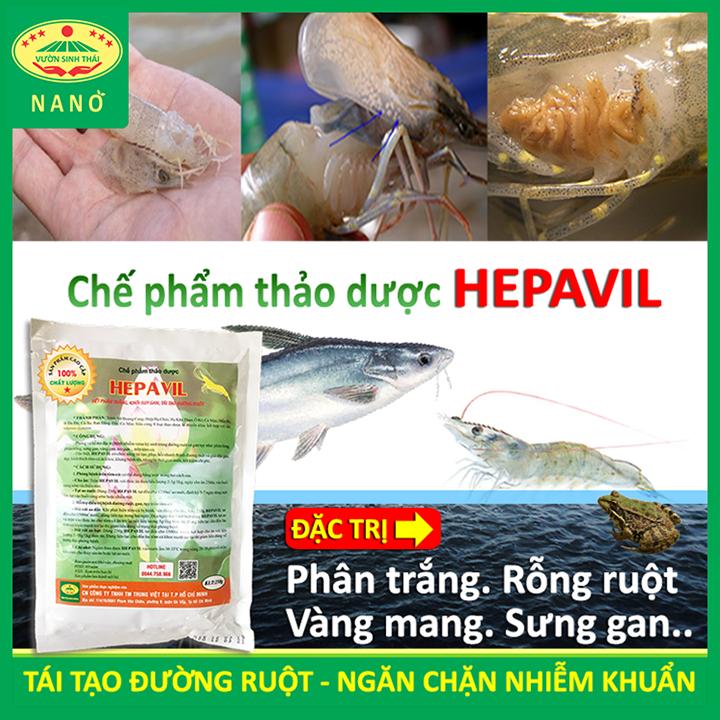 Chế phẩm sinh học Thảo Dược chuyên dùng Tôm, Cá, Ếch bị rỗng ruột, phân trắng, vàng mang, sưng gan - Hiệu quả ngay sau 5-7 ngày - Chiết xuất 100% từ Thiên Nhiên - HEPAVIL