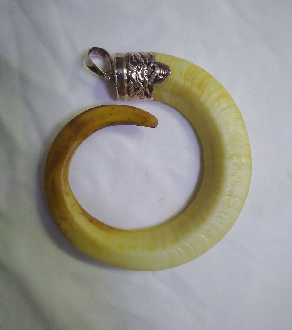 [HCM]Nanh Mỹ Nghệ 9.4 cm Chụp bạc Đẹp Cao Cấp