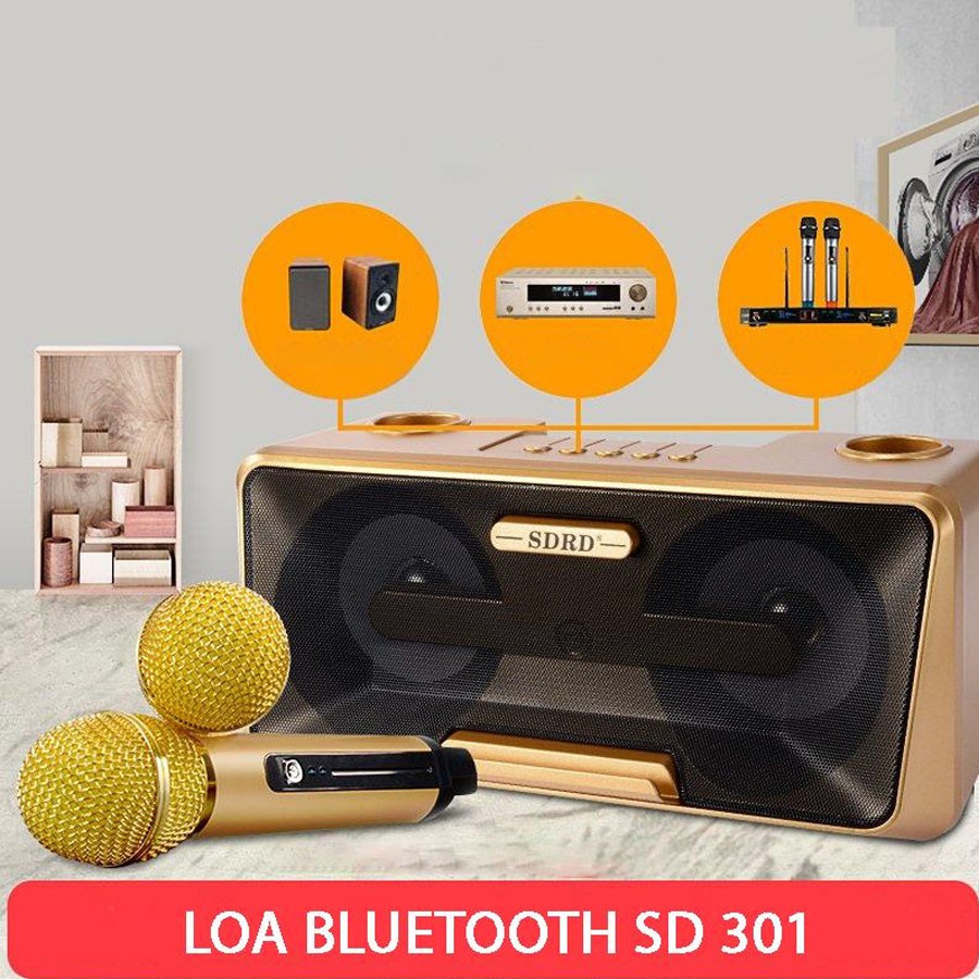 [HCM](Kèm 2 Micro) Loa Bluetooth Mini Hát Karaoke SD 301 Loa Nghe Nhạc Âm Thanh Cực Hay Hàng Cao Cấp SDRD.