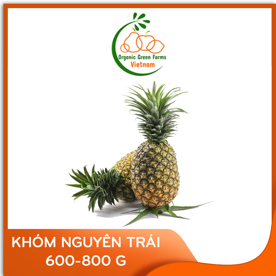 [OGF] - Khóm (thơm) nguyên trái (600 - 800 g) - [Giao nhanh TPHCM]