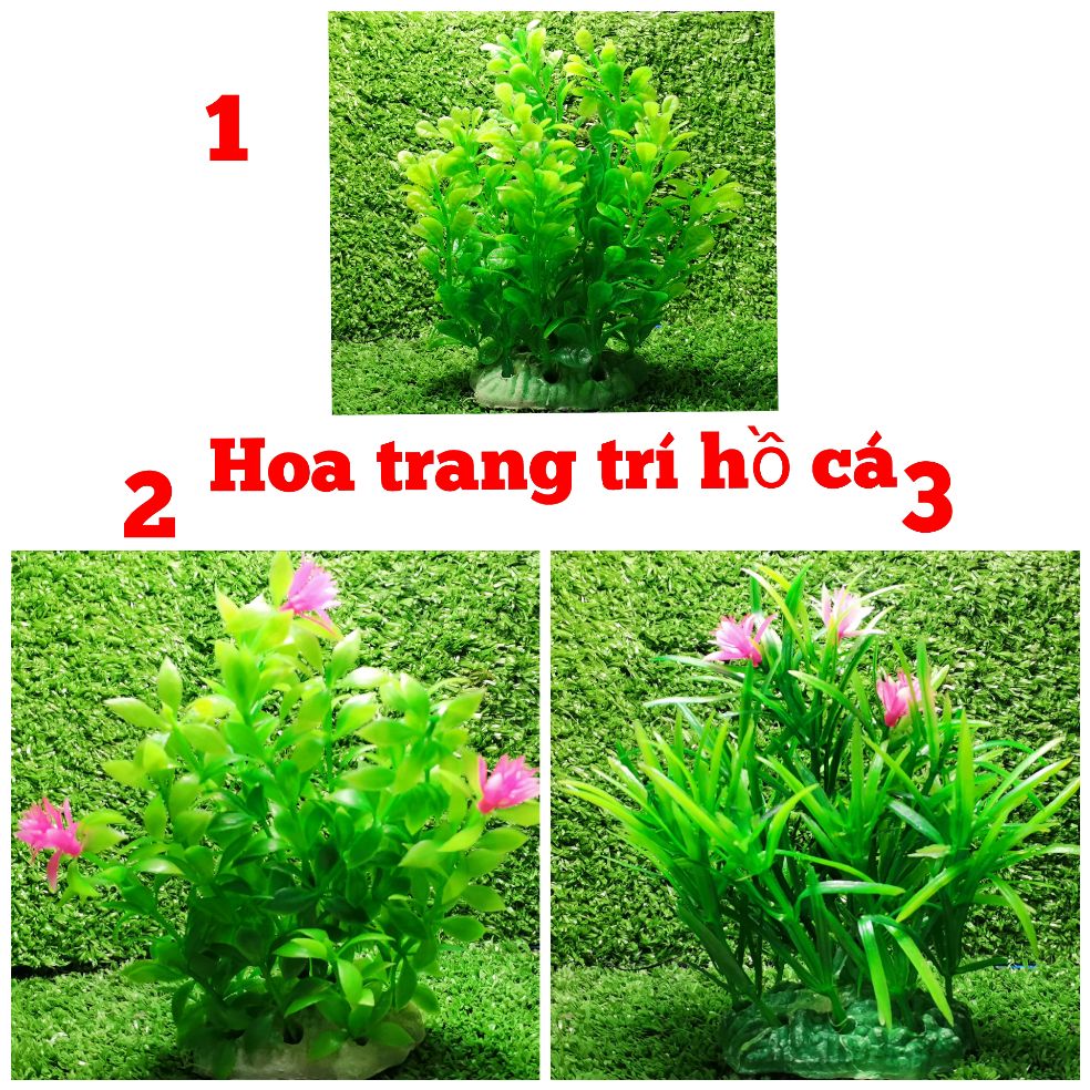 [HCM]Cây rong trang trí hồ giá 1 cây