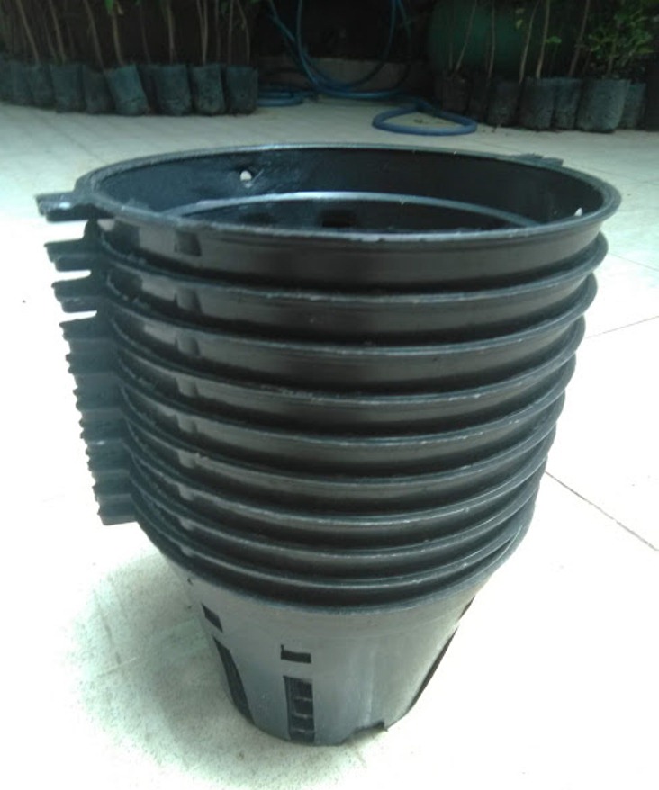 Bộ 10 chậu nhựa trồng lan đk 14cm