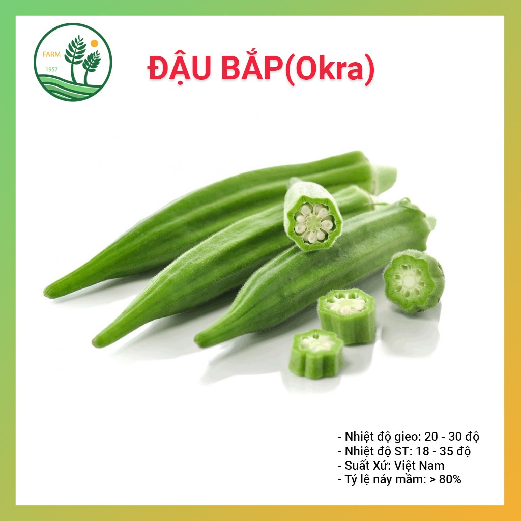 Hạt giống đậu bắp xanh 50g