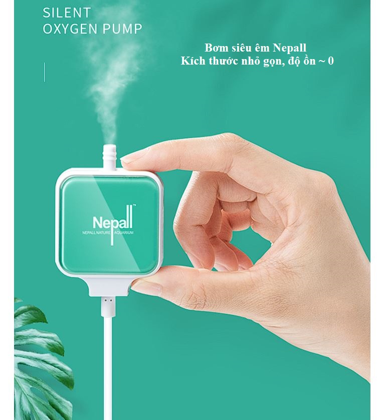 Sủi siêu êm Nepall dùng cho bể cá để phòng ngủ