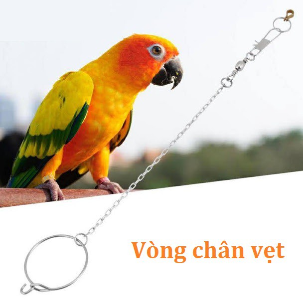 Vòng móc khóa chân chim vẹt inox