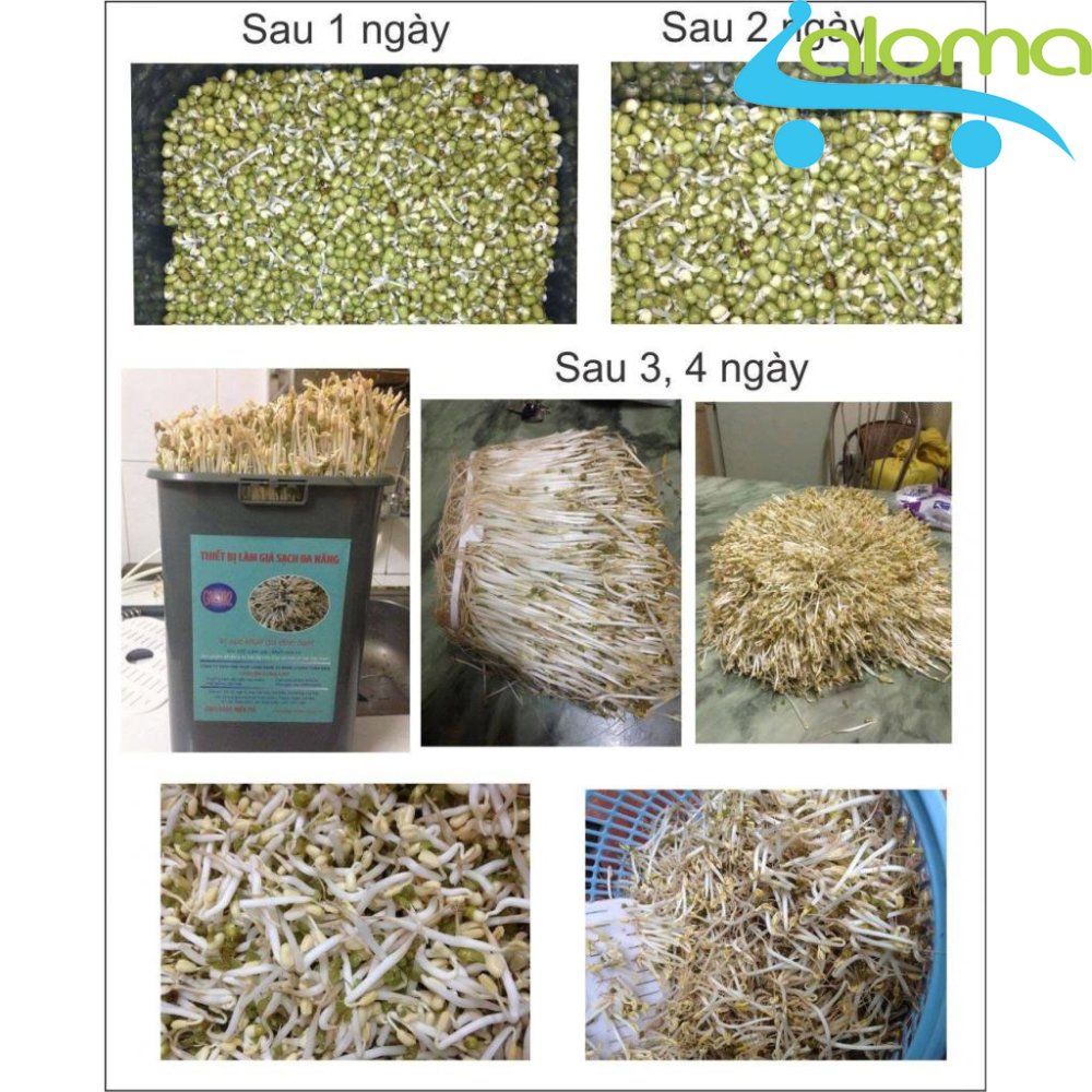 Thùng làm giá đỗ Bách Khoa Việt Nam BKST RM-01 dễ làm sạch sẽ an toàn vệ sinh